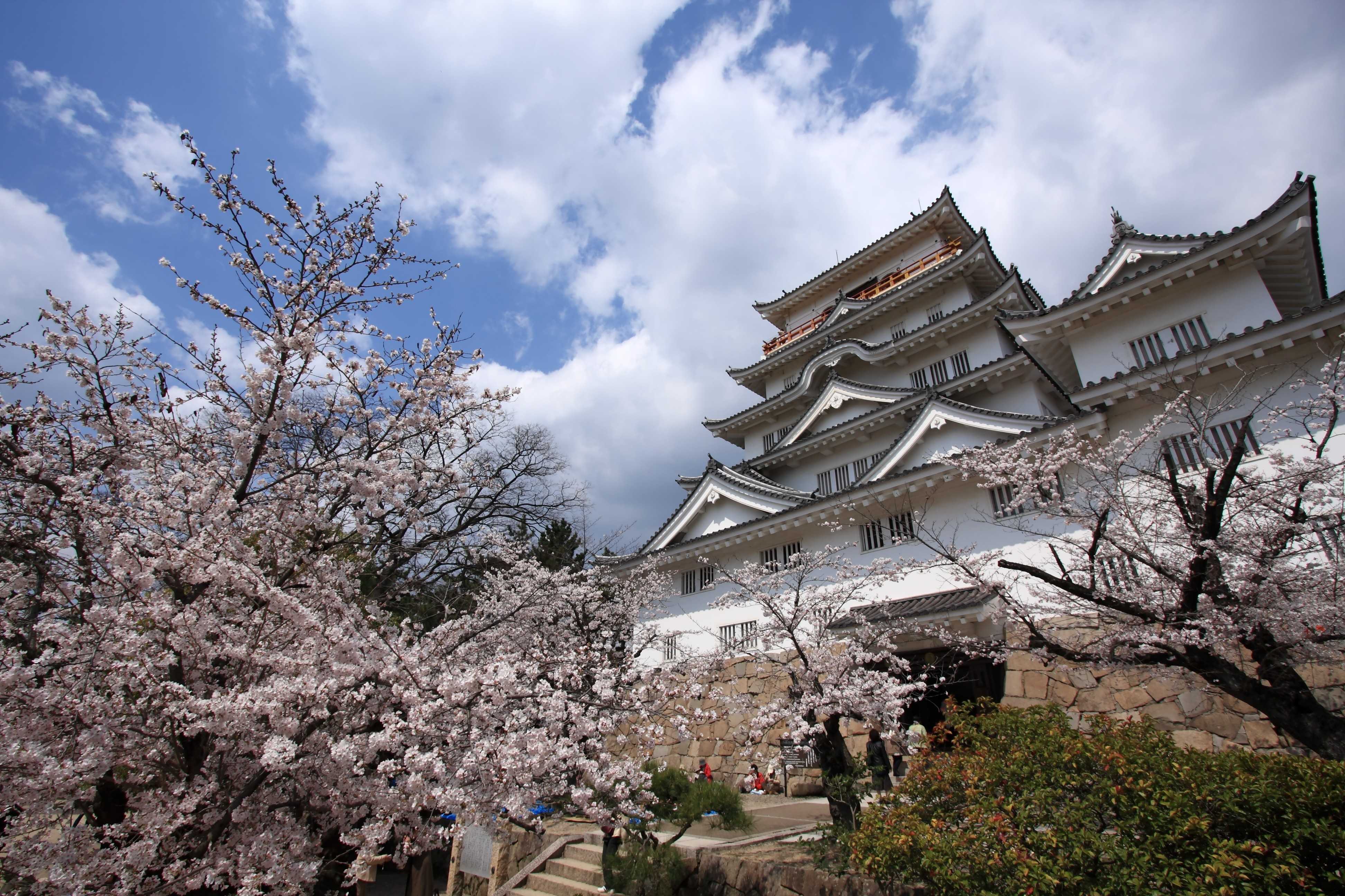 🏯 후쿠야마 성 공원(후쿠야마조코엔) 이미지 8